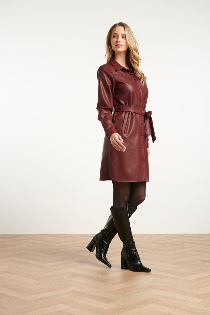 Vittoria Dress
