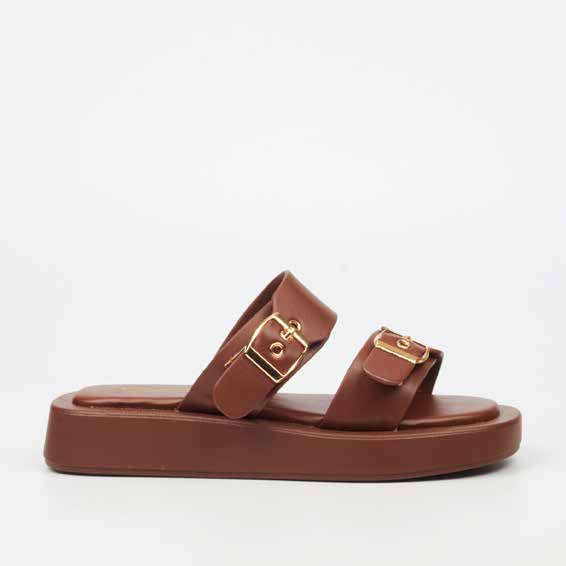 Coconut 25