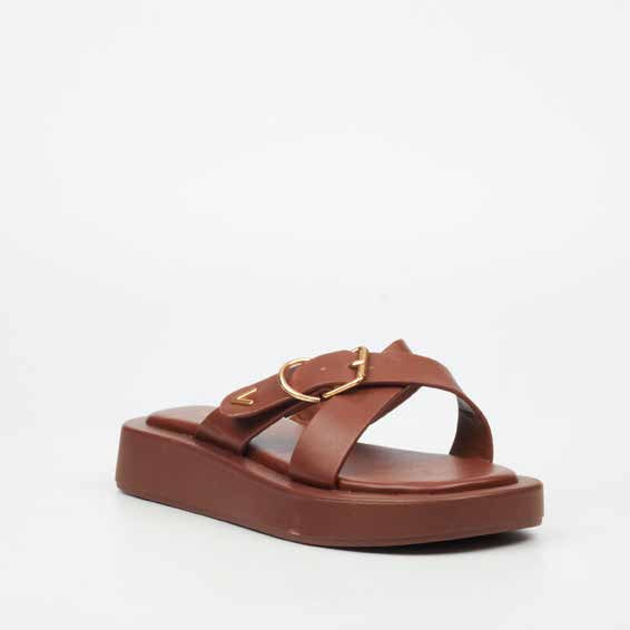 Coconut 26